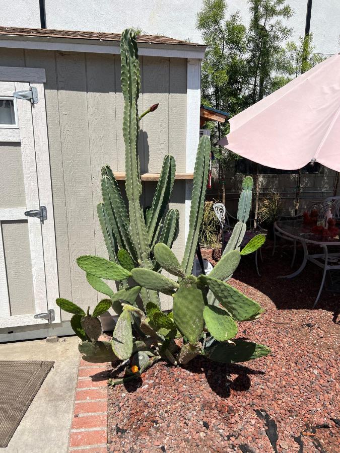 Private Los Angeles Room - Free Wifi, Ac, Tv, Private Fridge, Kitchen, Near Usc - Exposition Park - Usc Memorial Coliseum - Banc Of California Bmo Stadium - Downtown Los Angeles Dtla - University Of Southern California Usc!! Εξωτερικό φωτογραφία